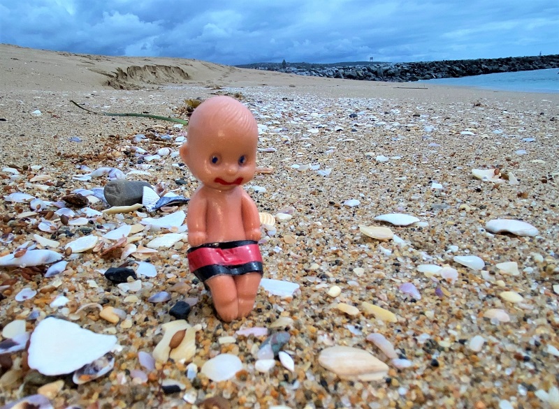 Brutus Baby and the Seashells 6